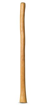 Medium Size Natural Finish Didgeridoo (TW456)
